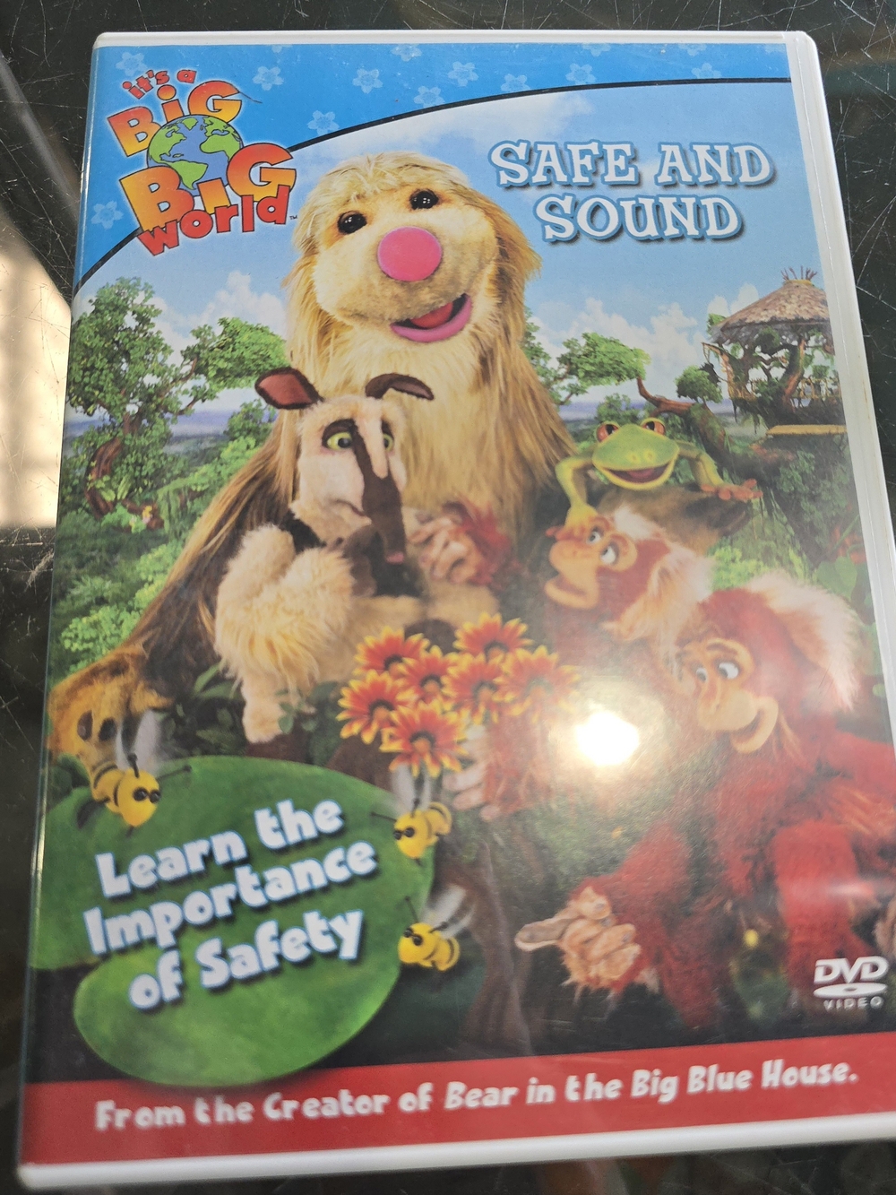 GUC Its A Big Big World "Safe and Sound" DVD - Learn the Importance of Safety